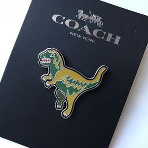 Coach Dinosaur Pin